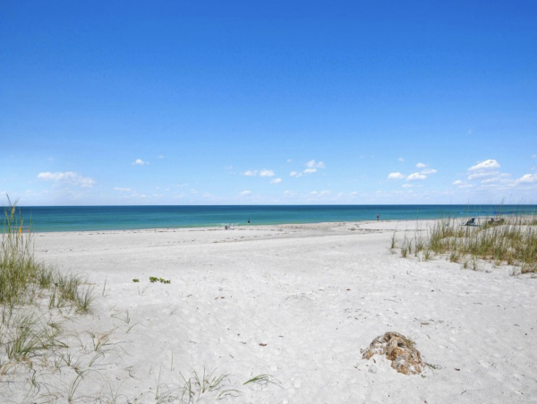 Anna Maria Island Four Bedroom Florida On The Beach!